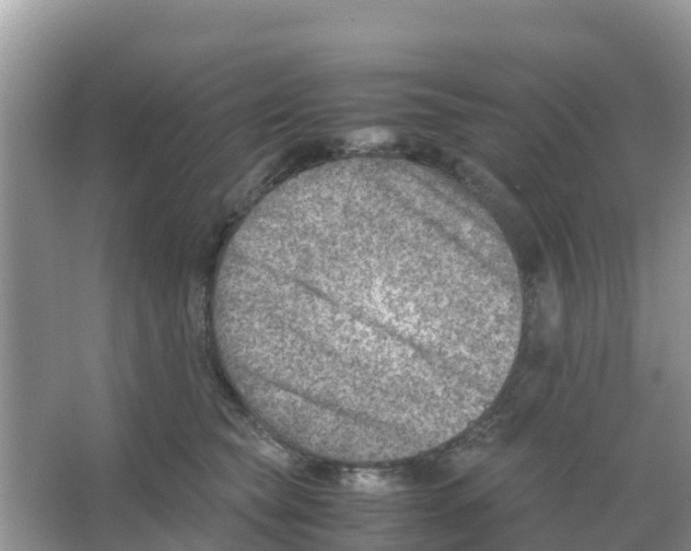 X0000066020565200603312052