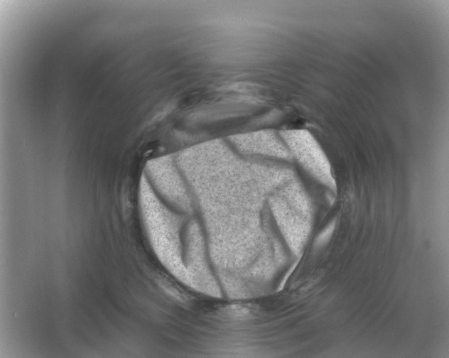 X0000066020566200603312052