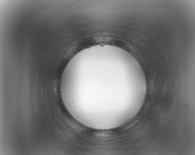 X0000066020567200603312052