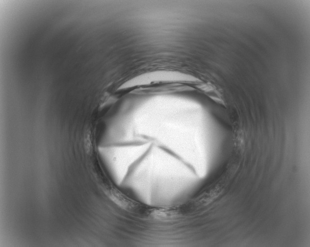 X0000066020568200603312052