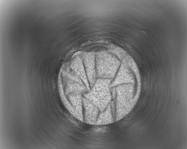 X0000066020569200603312052