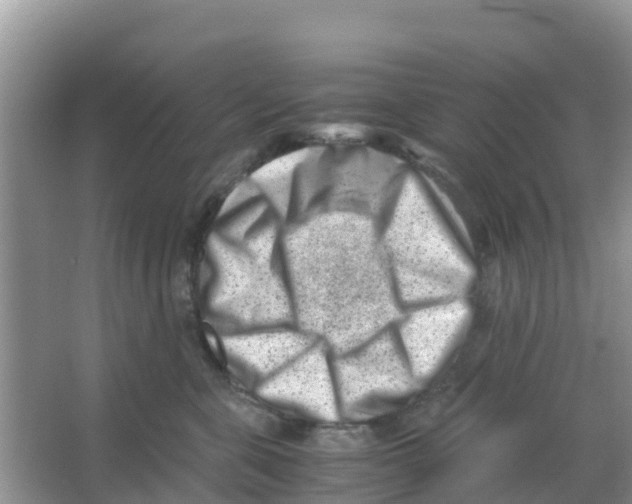 X0000066020571200603312052