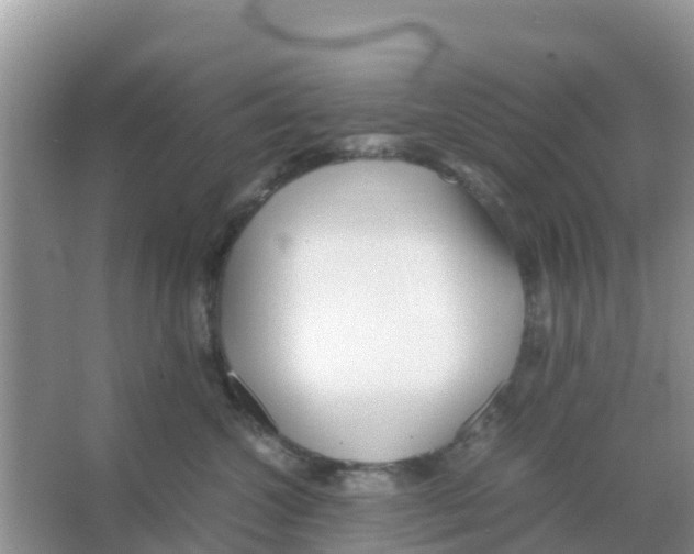 X0000066020572200603312052