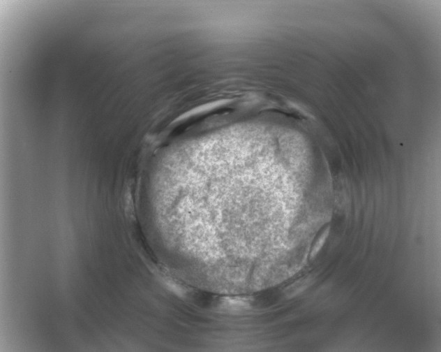 X0000066020573200603312052