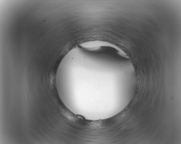 X0000066020574200603312052