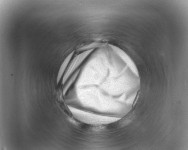 X0000066020576200603312052