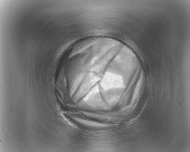 X0000066020577200603312051