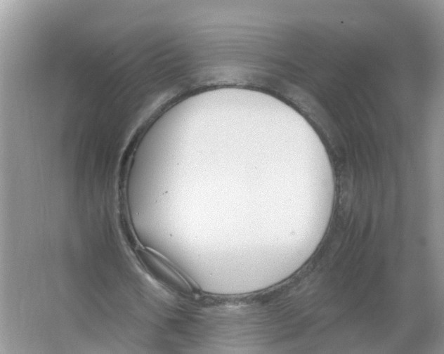 X0000066020578200603312051