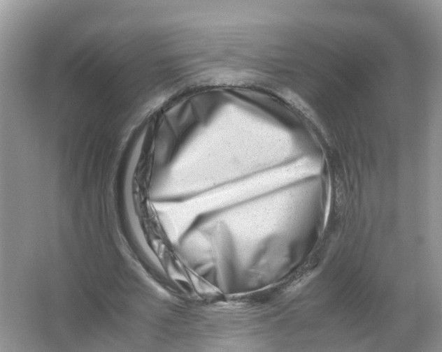 X0000066020581200603312051