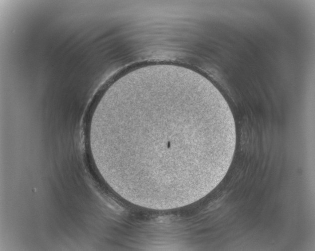 X0000066020584200603312051