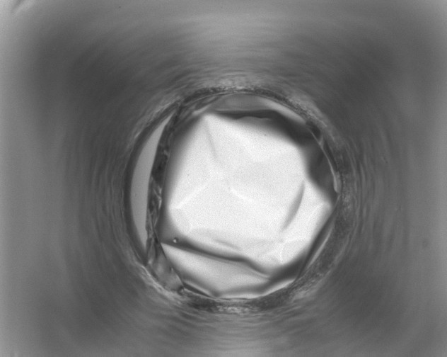 X0000066020585200603312051