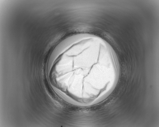 X0000066020586200603312051