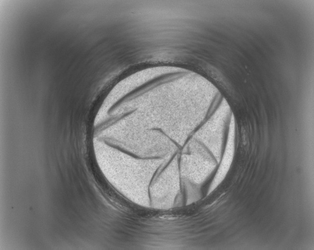 X0000066020588200603312051