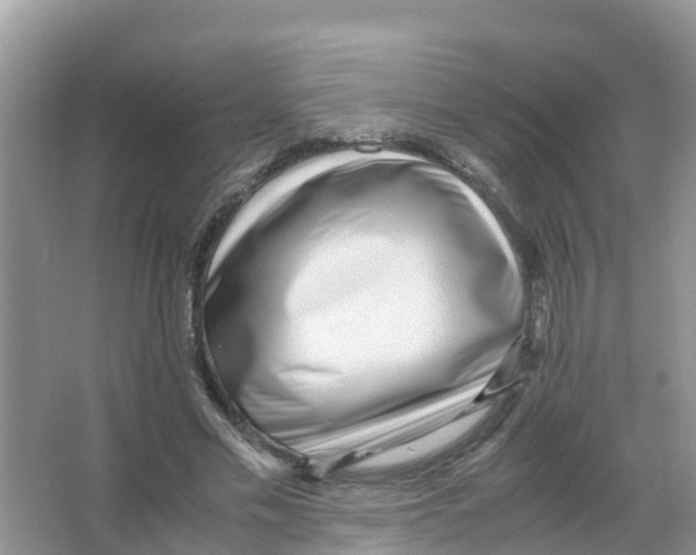 X0000066020589200603312051