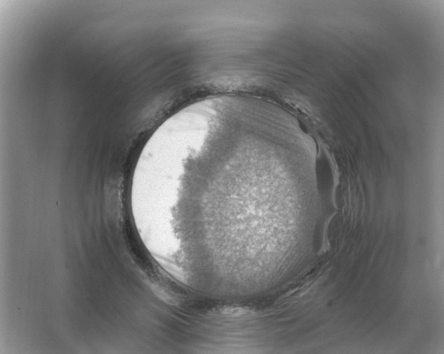 X0000066020590200603312051