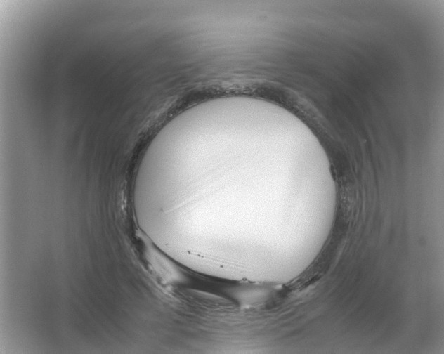 X0000066020593200603312051