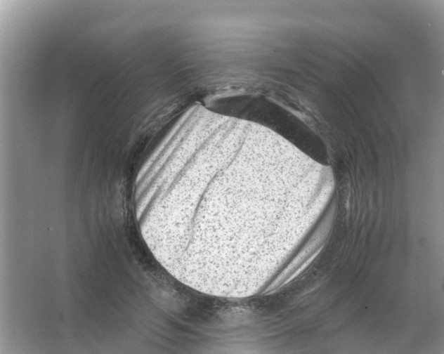 X0000066020594200603312051