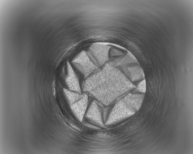 X0000066020596200603312051