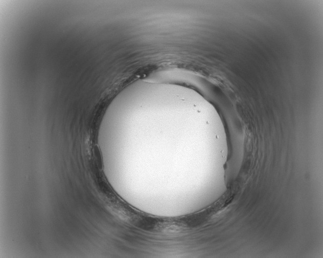 X0000066020597200603312051