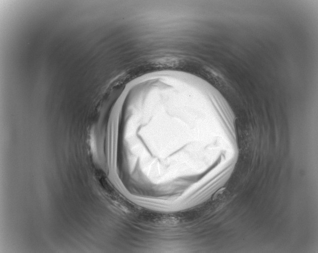 X0000066020600200603312051