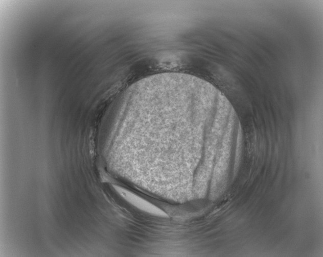 X0000066020606200603312051