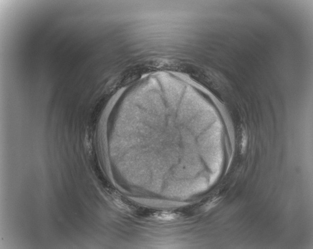 X0000066020607200603312051