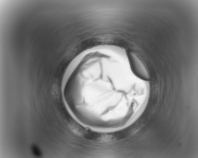 X0000066020609200603312051