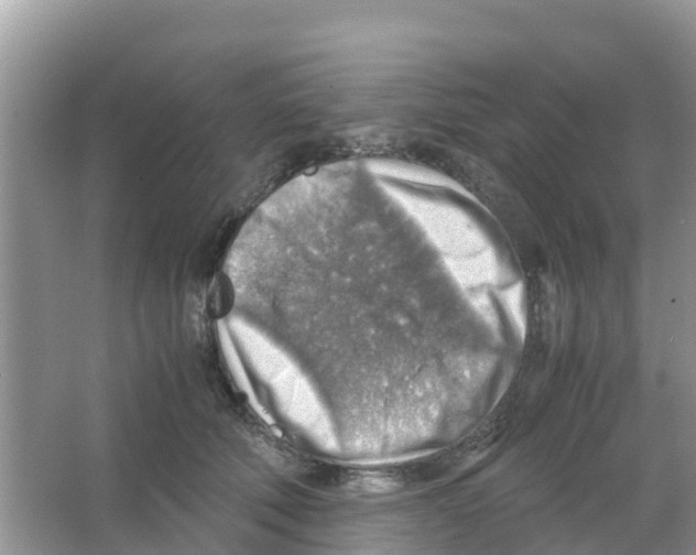 X0000066020610200603312051