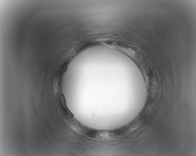 X0000066020611200603312051