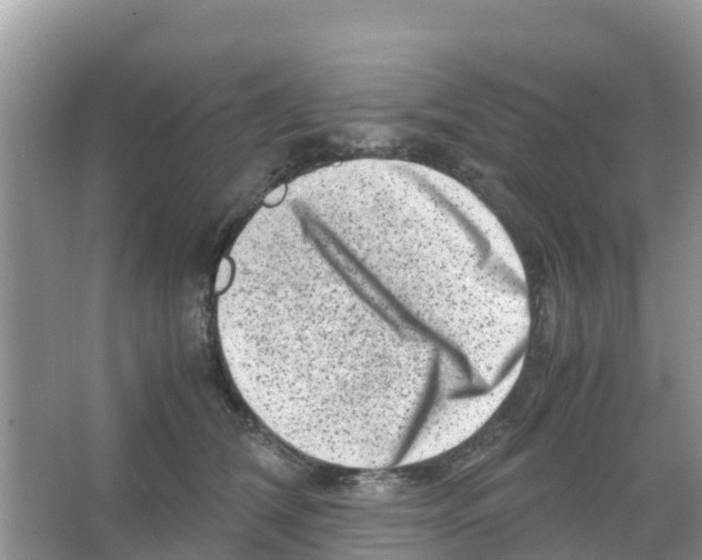 X0000066020612200603312051