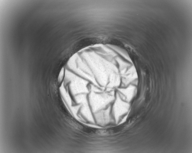 X0000066020613200603312051