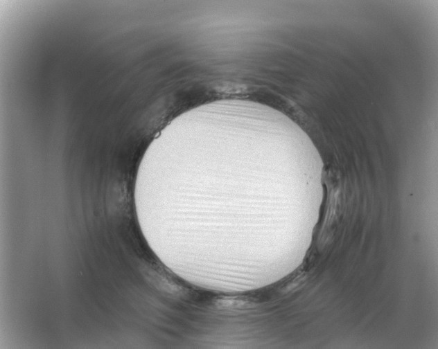 X0000066020614200603312051