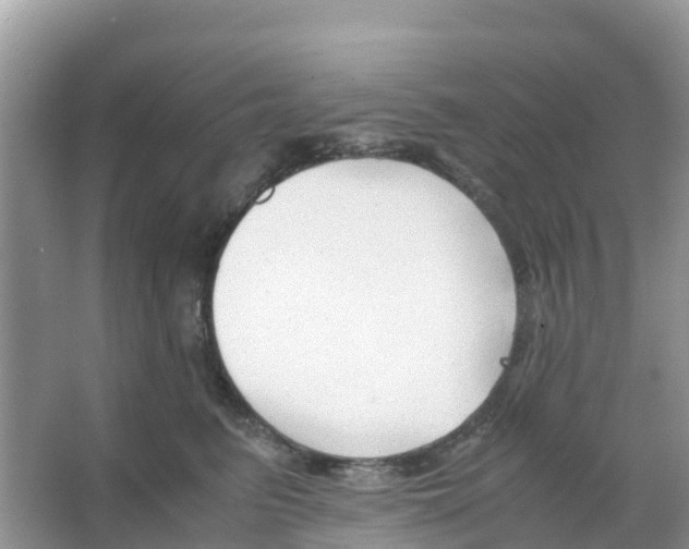 X0000066020615200603312051