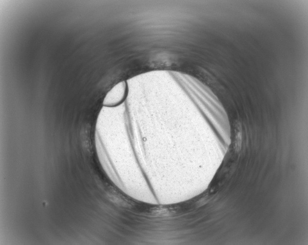 X0000066020616200603312051