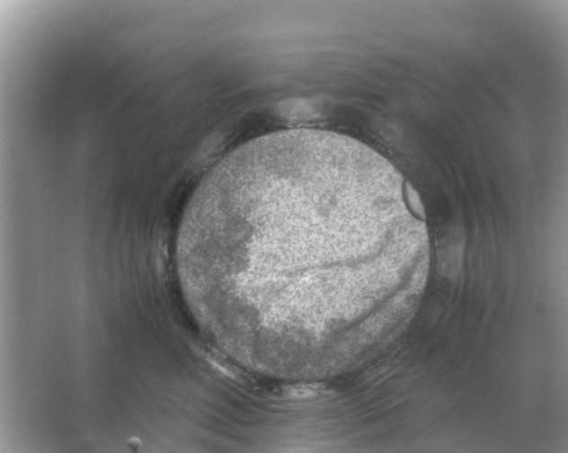 X0000066020618200603312050