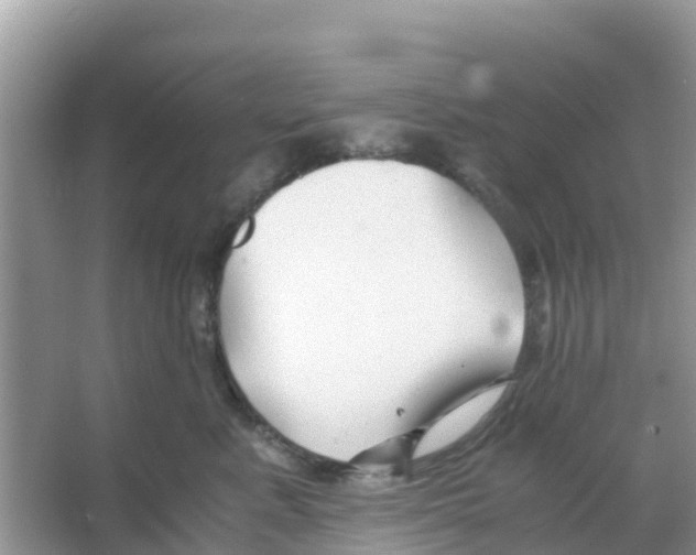 X0000066020619200603312050