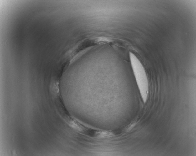 X0000066020621200603312050