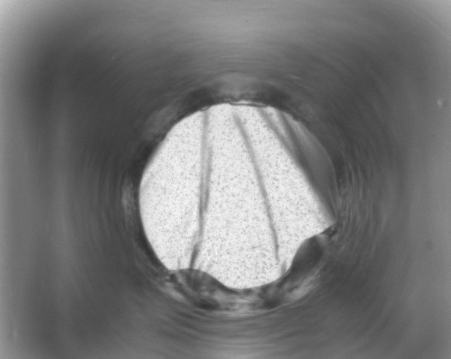 X0000066020623200603312050