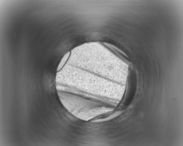 X0000066020624200603312050