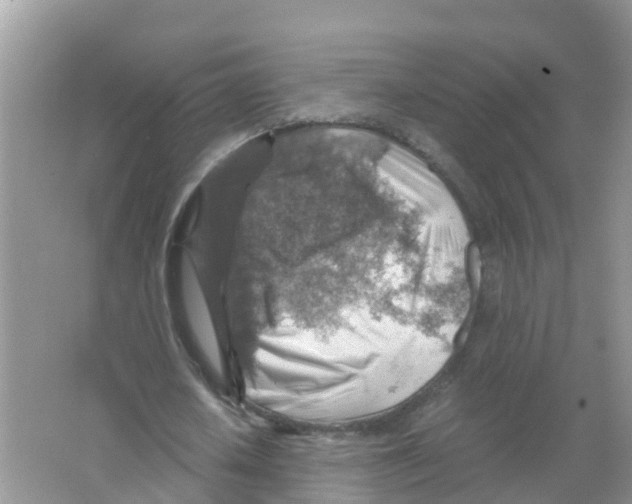 X0000066020626200603312050