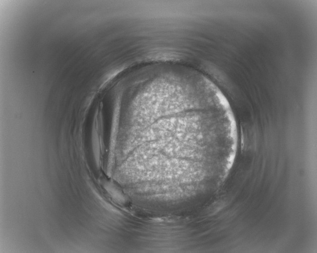 X0000066020627200603312050