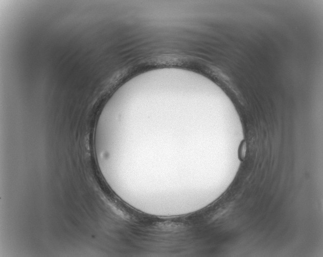 X0000066020633200603312050