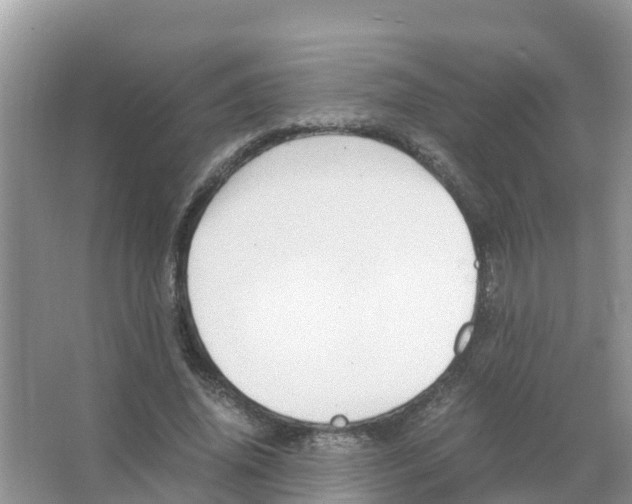 X0000066020636200603312050