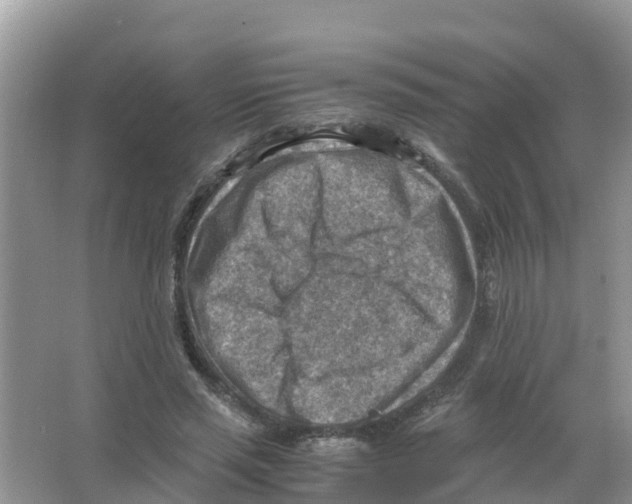 X0000066020637200603312050