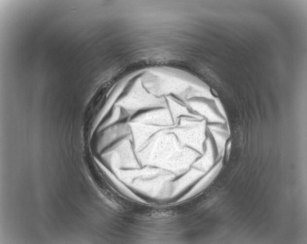 X0000066020638200603312050