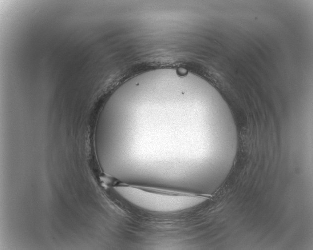 X0000066020642200603312050