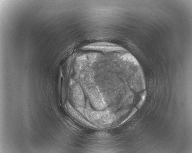 X0000066020644200603312050