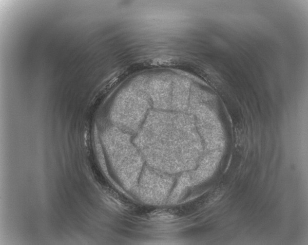 X0000066020648200603312050