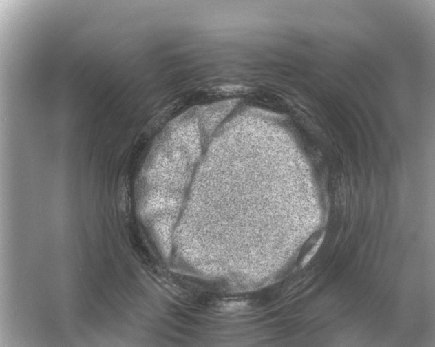 X0000066020651200603312050