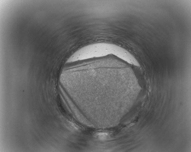 X0000066020653200603312050